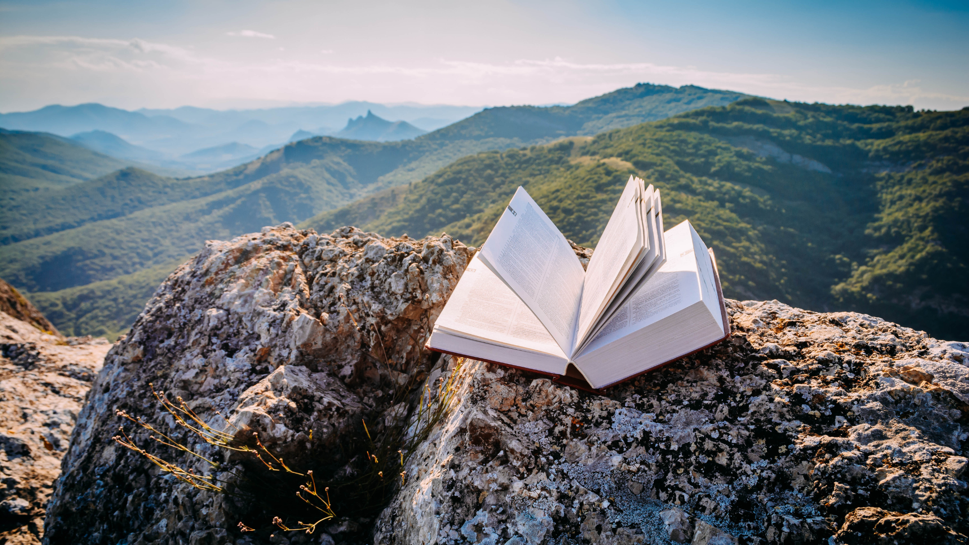 libro viajes